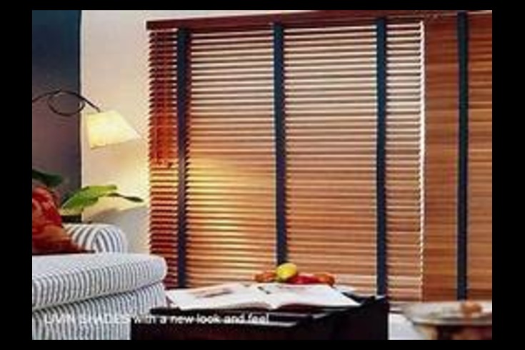 Zebra Blinds